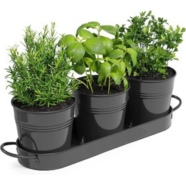 BSTMOME Herb Pot Planter Set with Tray for Indoor Garden Outdoor Use, Decorative Metal Succulent Pots Windowsill Planter Pots Flower Pots for Kitchen Grow (Black)