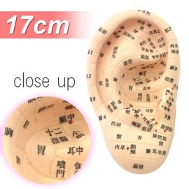 Beaut Ear Model Ear Urn Jewelry, 6.7 inches (17 cm) Type - Japanese Notation [Beauty Exclusive Ear Urn Illustration]