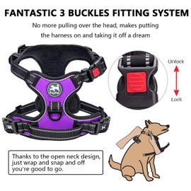 PoyPet No Pull Dog Harness, Reflective Comfortable Vest Harness with Front & Back 2 Leash Attachments and Easy Control Handle for Small Medium Large Dog(Purple,XS)