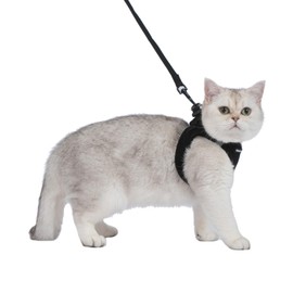Voyager Step-in Air Cat Leash Harness Set - All Weather Mesh, Step in Vest Harness for Small and Large Cats by Best Pet Supplies - Black, XXS (Chest 12-13.5")