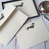Wagtail Designs Notelets with a Dachshund Illustration in a lovely