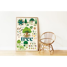 POPPIK 1841262 Sticker Poster, Trees, Interactive Learning Poster with Removable Stickers, Multilingual Knowledge Poster, for Ages 6 and up, 68 x 100 cm