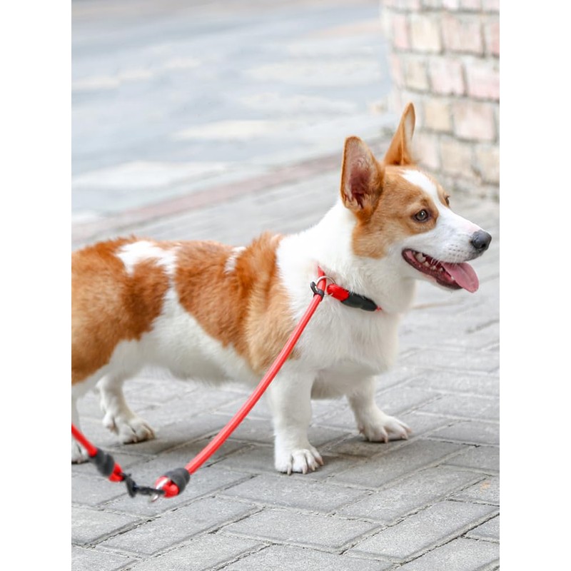 Mystercome Slip Collar, Dog Choker Collar, Nylon Dog Training Collar