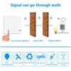 Wireless Lights Switch Kit, Thinkbee 2 Gang Wall Switch with