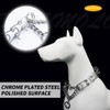 DaFumolous Chrome Plated Prong Dog Collar,no Pull Dog Prong Collar