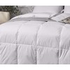 Kathy Ireland Light Warmth White Down Fiber Comforters, King