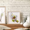 TouYinger 5x5 Small Shadow Box Frame Display Case , Display
