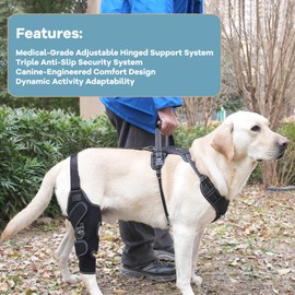 FurWell Dog Knee Brace with Adjustable Support – ACL & CCL Tear Recovery, Post-Surgery Stabilization, Mobility Aid for Rear Legs – Includes Secure Chest Harness for Dogs(Left,M)
