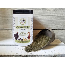FRESH EGGS DAILY Organic Coop Kelp Feed Supplement Vitamins for Backyard Chickens and Ducks 20 oz