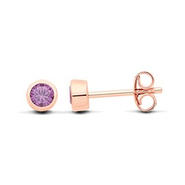 9ct Rose Gold on Silver Amethyst Stud Earrings - February Birthstone