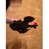 CN Peluche Chimuelo Como Entrenar Tu Dragon Furia Nocturna 25cm