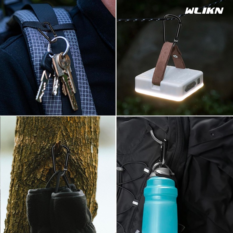Wlikn Aluminum Alloy Carabiners, Set of 10, Load Capacity 110.2