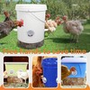 Jindizi 6 Pcs Automatic Chicken Feeder with Hole Saw, Rat