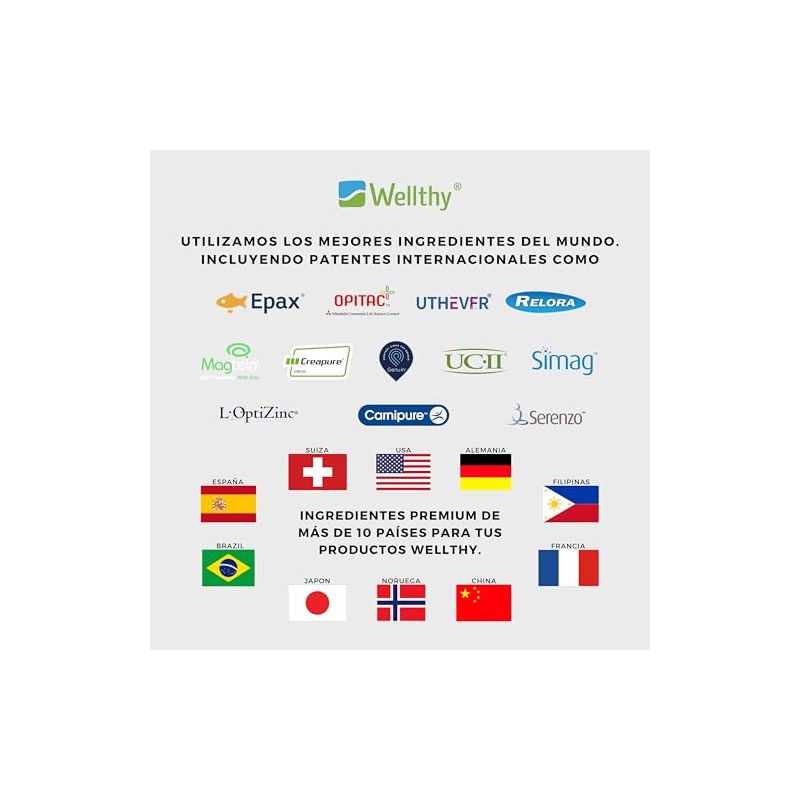 Wellthy Bisglicinato Magnesio 300 Cápsulas 432mg 100 Natural Alta Absorción