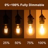 12Pack 2200k Led Light Bulb, Vintage A19 Edison Bulbs, Dimmable