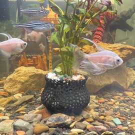 HOZOE Aquarium Submerged Plant Pot, Underwater Plant Anchor, Fish Tank Aquatic Plante, Aquarium Landscaping Decoration, Decorative Accessories - 2-Piece Set (Black)