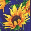 IHR Ideal Home Range Cocktail Napkins Disposable 3-Ply Paper Party