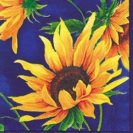 IHR Ideal Home Range Cocktail Napkins Disposable 3-Ply Paper Party Napkin Pack, 5" x 5", Sunshine, 20-Count