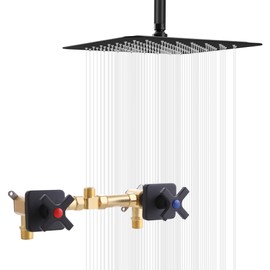 GUOYINDONG 2 Handle Shower Faucet Set, Ceiling Mount Two Knod Shower Faucets with 10" Shower Head, Matte Black