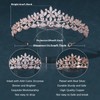 FASNAHOK Rose Gold Princess Birthday Crowns for Girls Cubic Zirconia