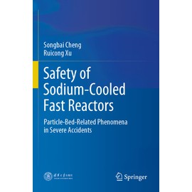 Safety of Sodium-Cooled Fast Reactors: Particle-Bed-Related Phenomena in Severe Accidents