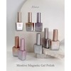 classic nail Mostive Nuno Magnet Gel + 30 parts /