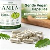 AMVLA Amra Capsules 1500mg - High-Efficacy Fruit Extract |Anti-Aging, regulates