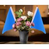 SCSpecial Small Flags 25 Pieces Mini Handheld Flags on Stick
