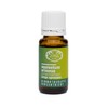 RATHAUS APOTHEKE WIEN Concentrated Bud Extract - Gemmotherapy - Equisetum