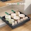 Seinloes 4 Pack Pull out Cabinet Organizer 21"Deep with Raising