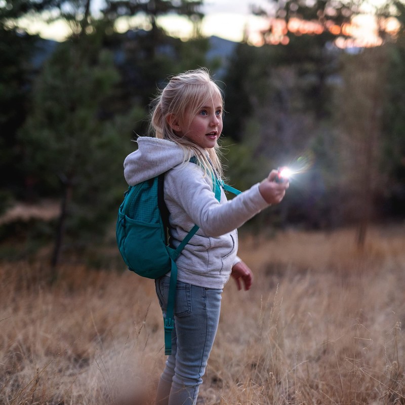 Sun Company Wild Light Animal Carabiner Flashlight | Mini Animal