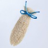 CattyMan Nyan Dent Loofah Toothpaste Fish