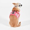 Puppia Theros Dog Vest Harness B (Step-in) Fashionable Striped Pattern