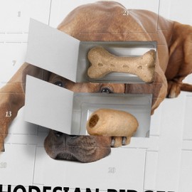 printplanet Dog Advent Calendar with Treats - Motif I Love Rhodesioan Ridgeback - Christmas Calendar for Dogs - 2024