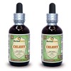 Celery (Apium Graveolens) Glycerite, Organic Dried Fruits Alcohol-FREE Liquid Extract