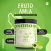 Commons Adaptógenos Amla Extracto Puro Polvo 100 Suplemento Natural Tónico
