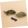 Sosoport Real Turtle Pet Toy Mini Skateboard Scooter for Bearded