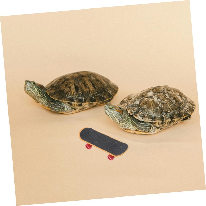 Sosoport Real Turtle Pet Toy Mini Skateboard Scooter for Bearded