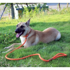 lynxking Dog Leash Slip Rope Lead Leash Strong Heavy Duty Braided Rope No Pull Training Lead Leashes for Medium Large Dogs