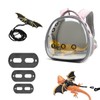 Bearded Dragon Lizard Backpack Carrier with Harness and Leash Set,