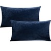 FLXXIE 2 Pack King Zipped Velvet Pillowcases, Soft and Cozy