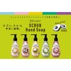 Joikoko Scrub Hand Soap, Sweet Pie Soap, Gorgeous Spring Scent,