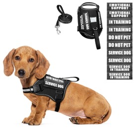 Service Dog Harness and Leash Set, Training Dog Vest with 10 Dog Patches, Emotional Support Therapy Dog Vest Harness for Small Medium Large and Extra Large Dogs(Black, XS)