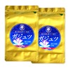 ガジュツ粉末お得セット (屋久島産 紫ウコン100g×2袋)