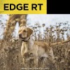 Dogtra EDGE RT Add RX GREEN - 1 Mile -
