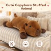 MaoGoLan 39.4" Capybara Plush Body Pillow, Long Capybara Stuffed Animal