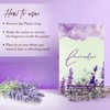 Gayo 6 Pack Lavender Home Fragrance Sachets for Small Spaces,