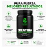 Creatina Monohidratada 500g Micronizada Sin Sabor Kaan