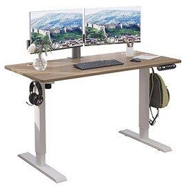 Electric Standing Desk 48 x 24 Inches, BilBil Height Adjustable Stand Up Desk Home Office Desks with 4 Memory Presets