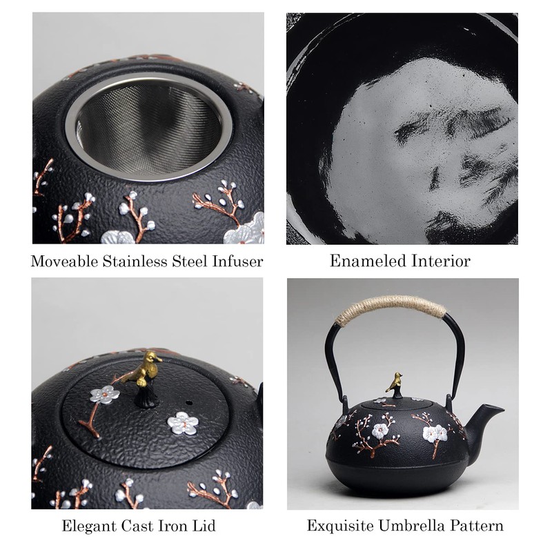 Cast Iron Teapot SECHUDO Teapot for Stovetop Safe Coated with